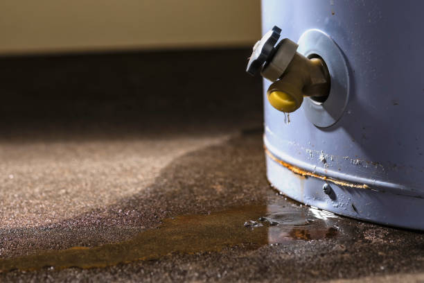 Best Flood damage cleanup  in Laurens, SC