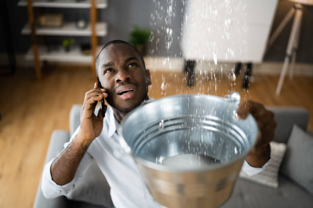 Best Mold removal after water damage  in Laurens, SC