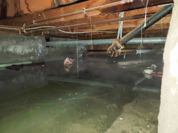 Best 24-hour water damage restoration  in Laurens, SC