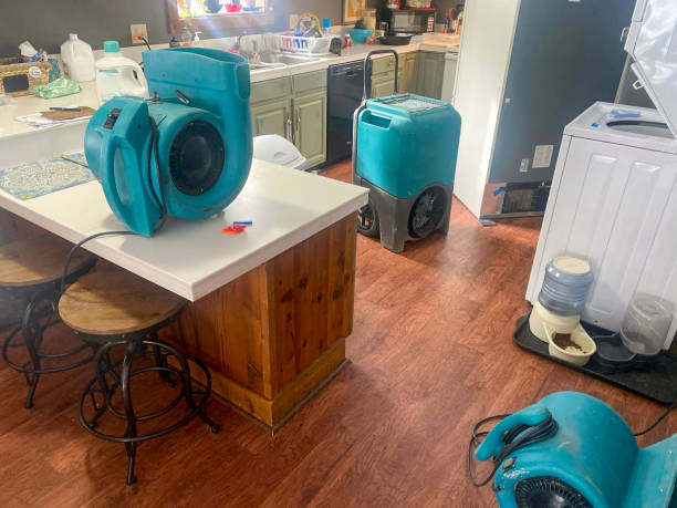 Best Water damage mitigation services  in Laurens, SC