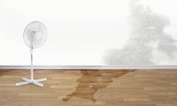 Best Fire Damage Restoration  in Laurens, SC