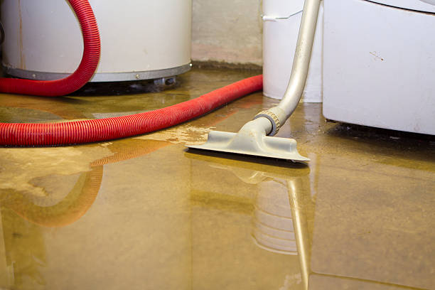Best Water damage restoration near me  in Laurens, SC