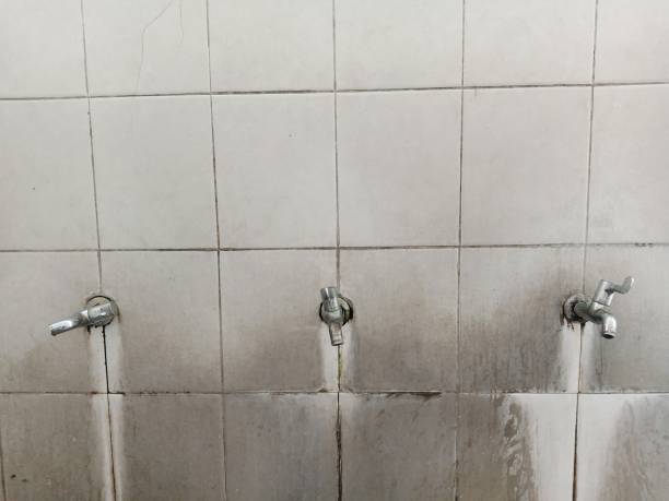 Best Water damage restoration cost  in Laurens, SC