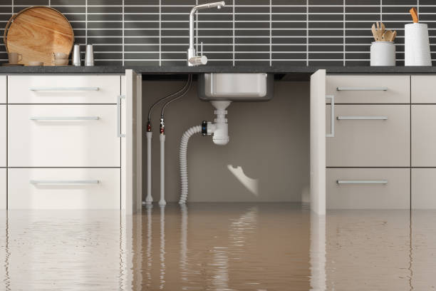 Best Commercial water damage restoration  in Laurens, SC