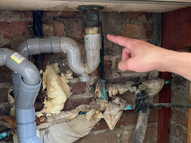 Best Local water damage restoration  in Laurens, SC