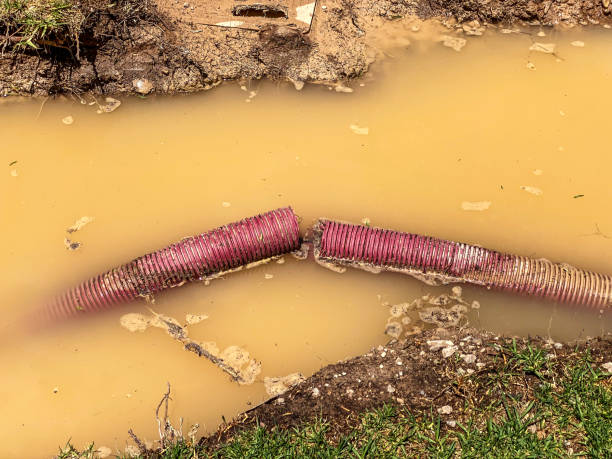 Best Water damage cleanup near me  in Laurens, SC