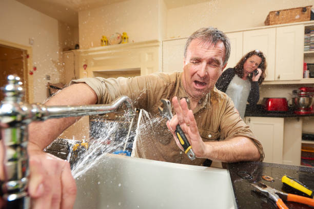 Best Professional water damage repair  in Laurens, SC
